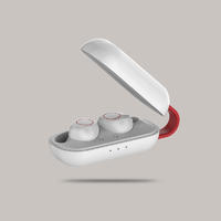 True Wireless Stereo TWS earbuds with touch control technology